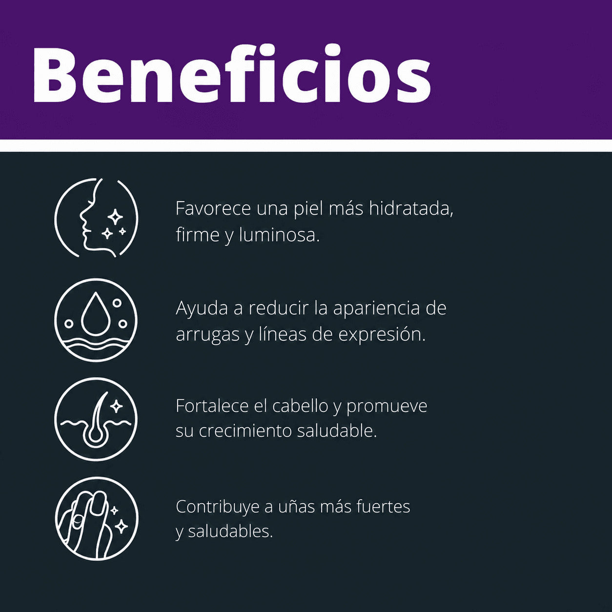 ELV BEAUTÉ Ácido Hialurónico