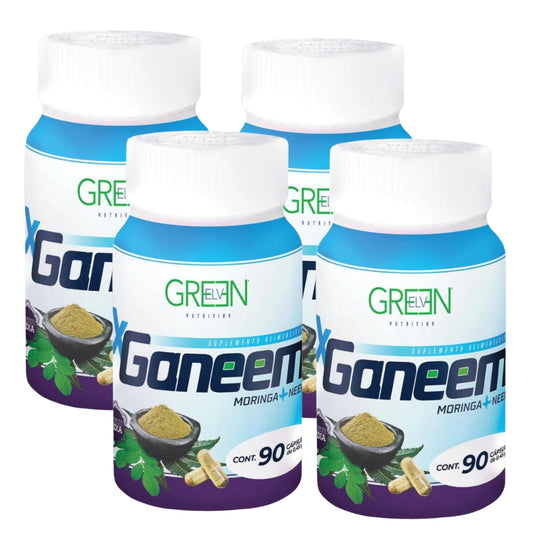 Moringa Combo Semestral (4 PZ)