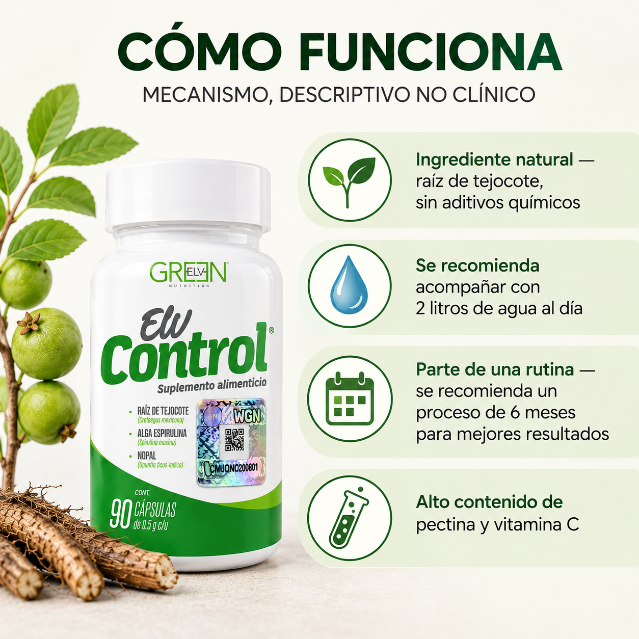 Raíz de Tejocote 100% natural — tu aliado para un proceso de bienestar constante