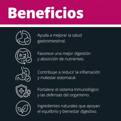 ELV GI5 Gastro